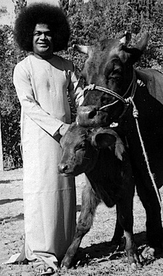 Beloved Bhagawan Sri Sathya Sai Baba